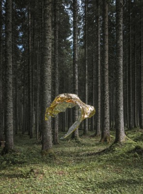 Peter Giodani, Gold Rush / a lucid daydream
