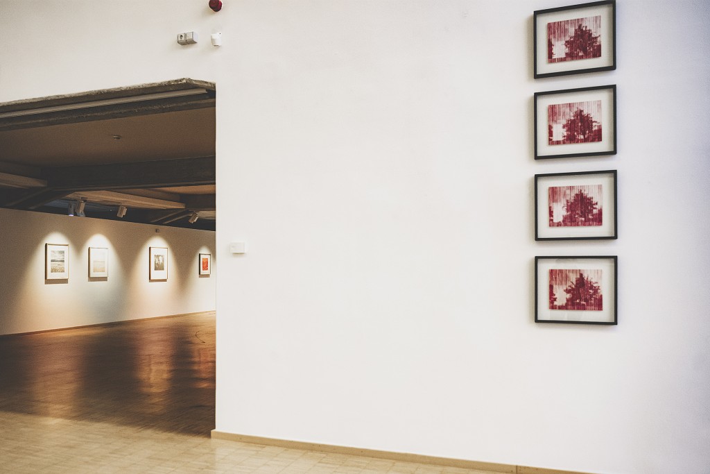 Članek o razstavi Transformacija podobe, avtorja Oliverja Pilića