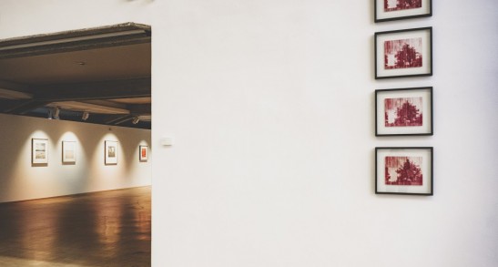 Članek o razstavi Transformacija podobe, avtorja Oliverja Pilića