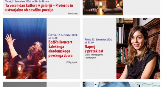 Program za mesec december