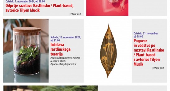 Program za mesec november